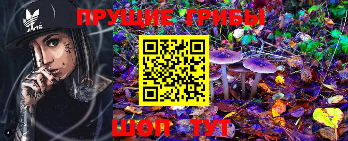 Псилоцибиновые грибы GOLDEN TEACHER  Вход с VPN  Кольчугино 